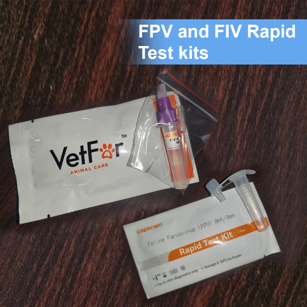 FPV and FIV Rapid Test Kit