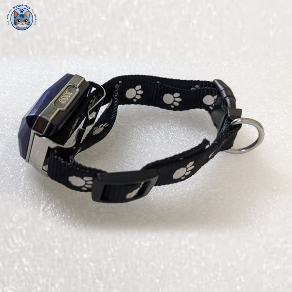 GPS Pet Tracker